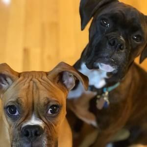 Meet your Posher, Stacy